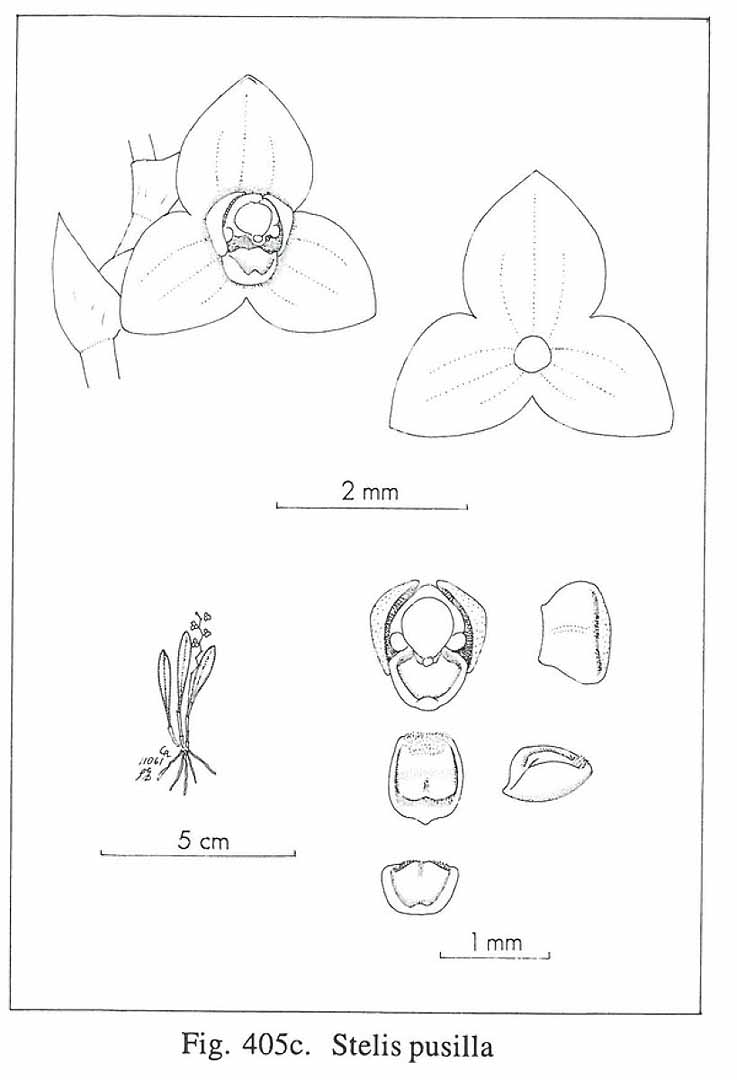 no HD illustration available (3)