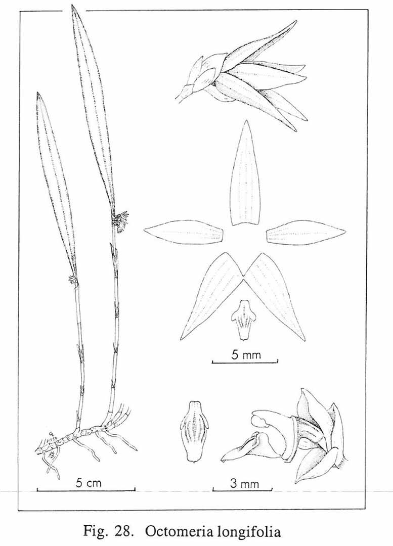 no HD illustration available (3)