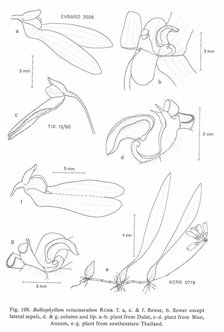 no HD illustration available (3)