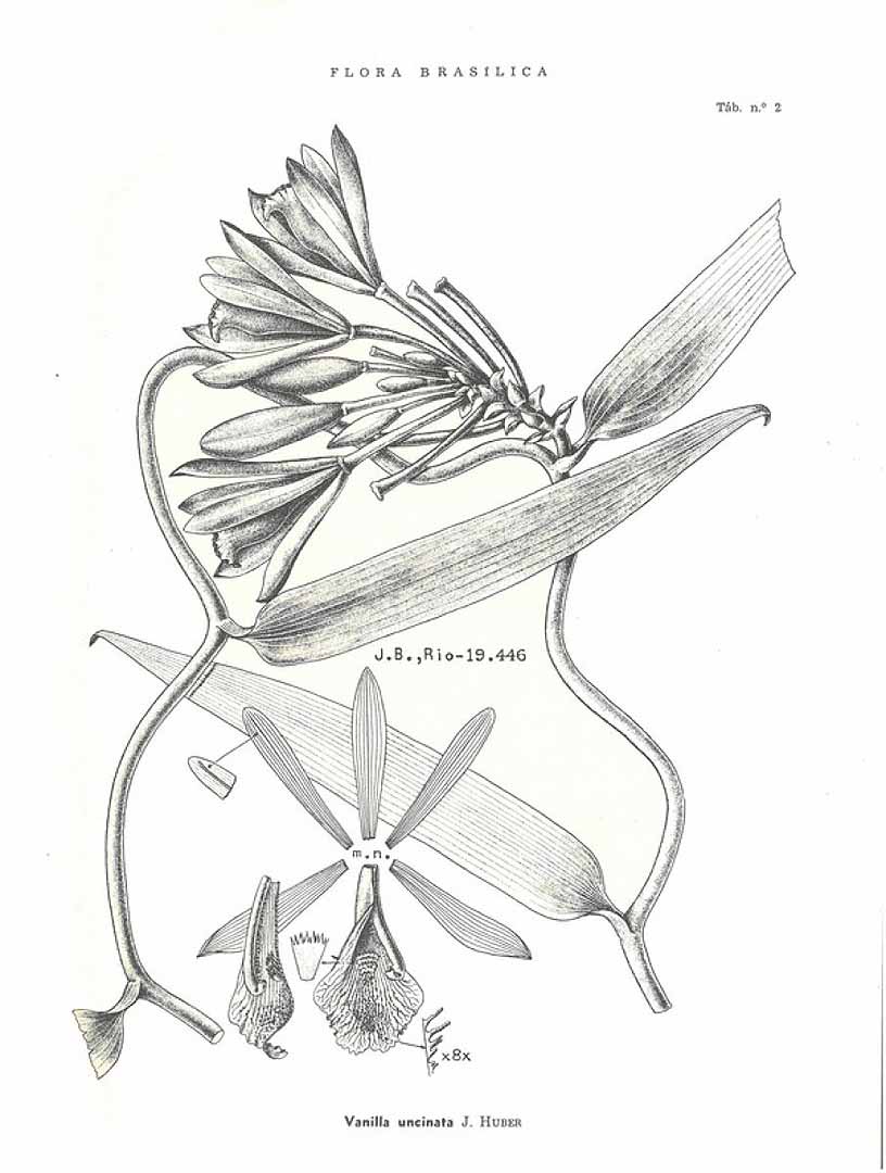 no HD illustration available (3)