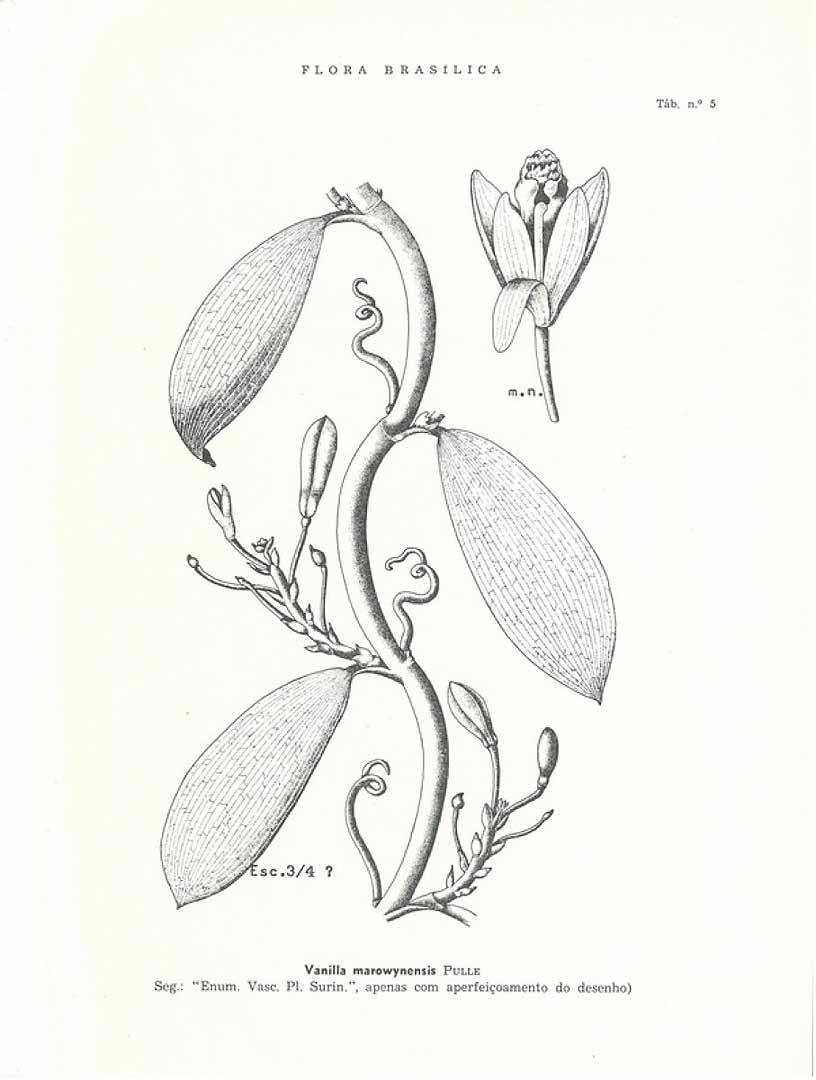no HD illustration available (3)