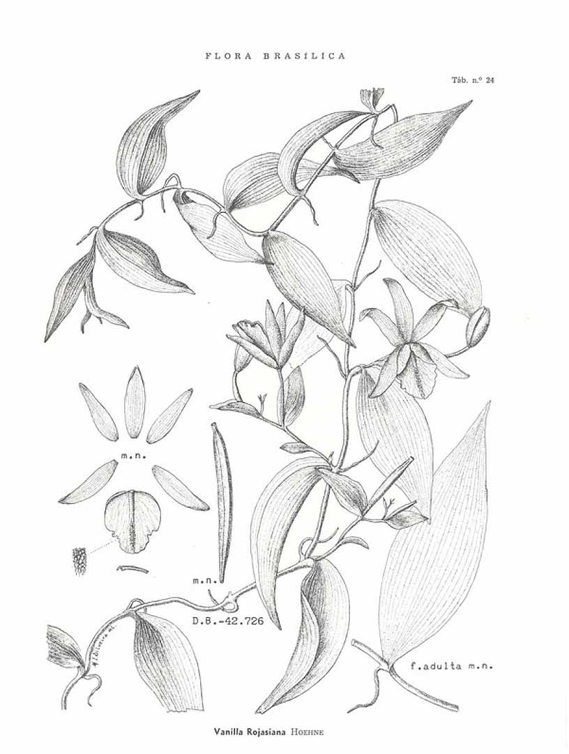no HD illustration available (3)