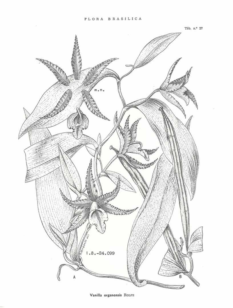 no HD illustration available (3)
