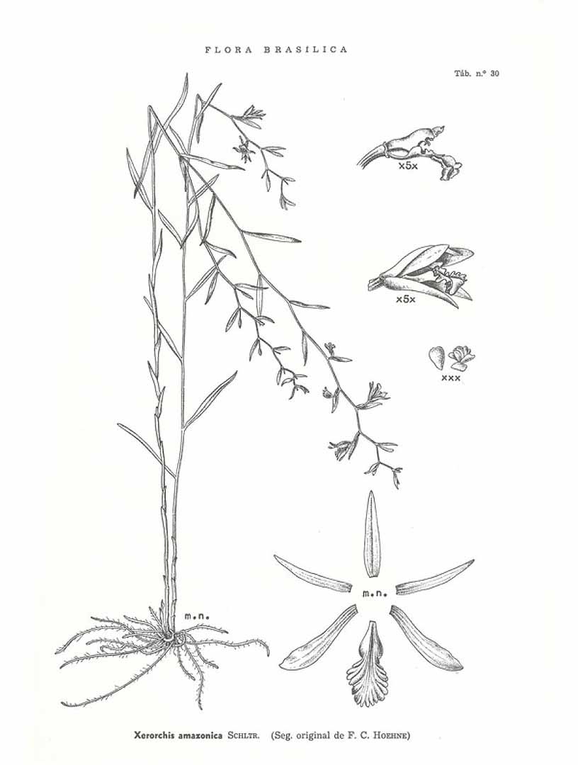 no HD illustration available (3)