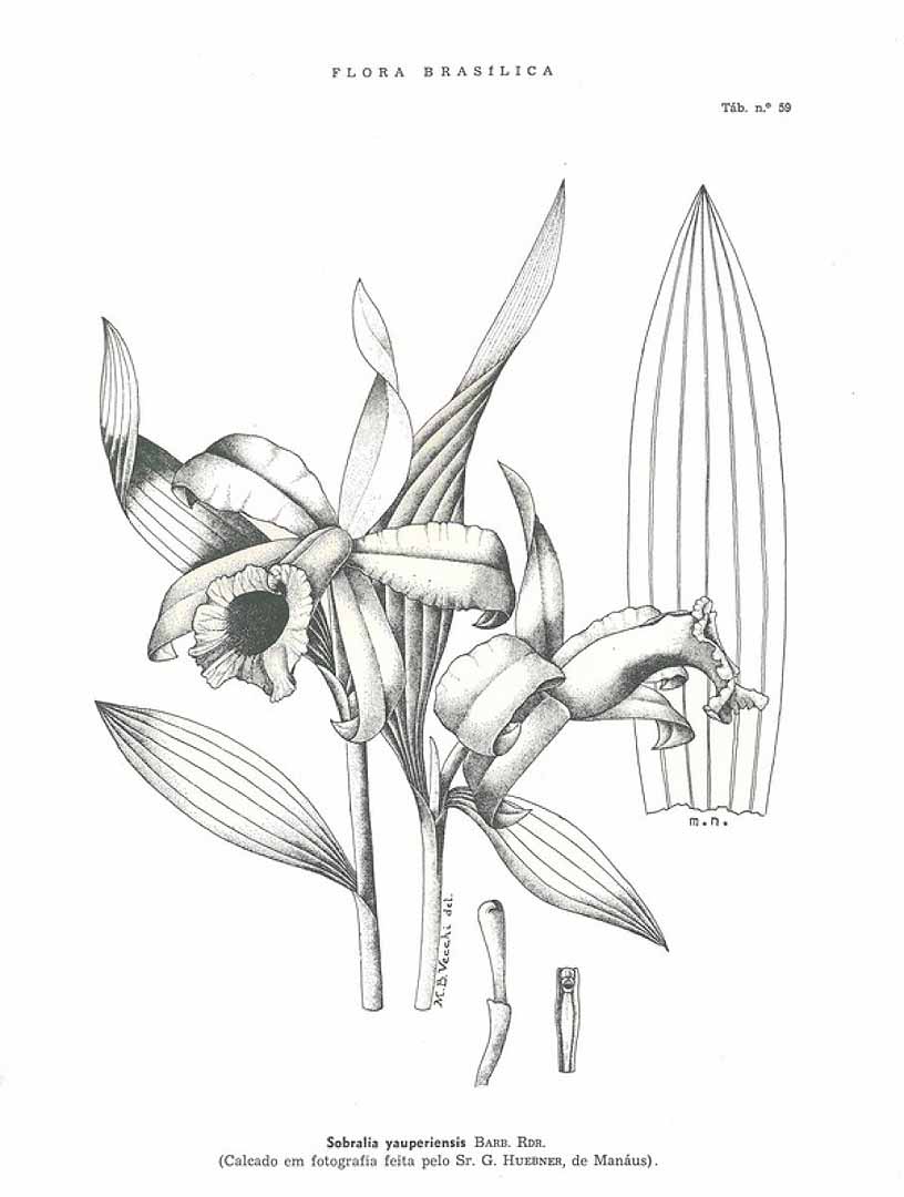 no HD illustration available (3)