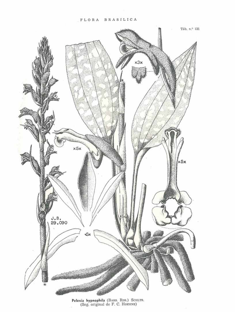 no HD illustration available (3)