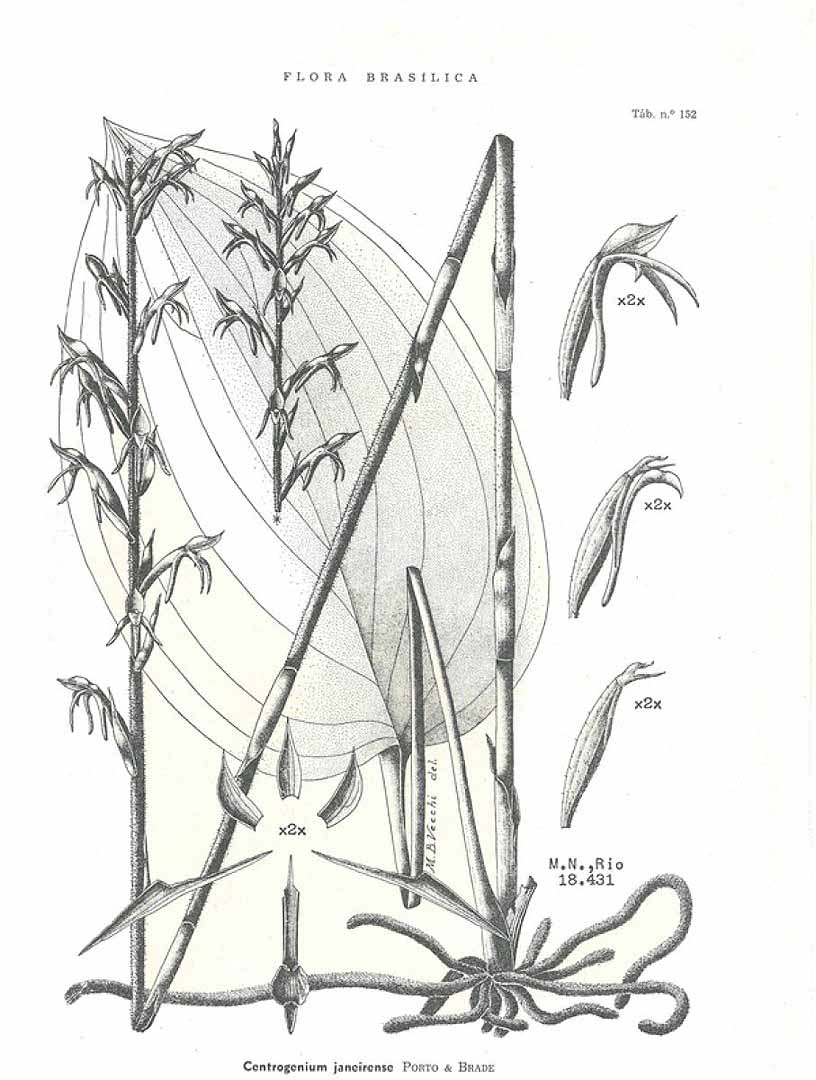 no HD illustration available (3)
