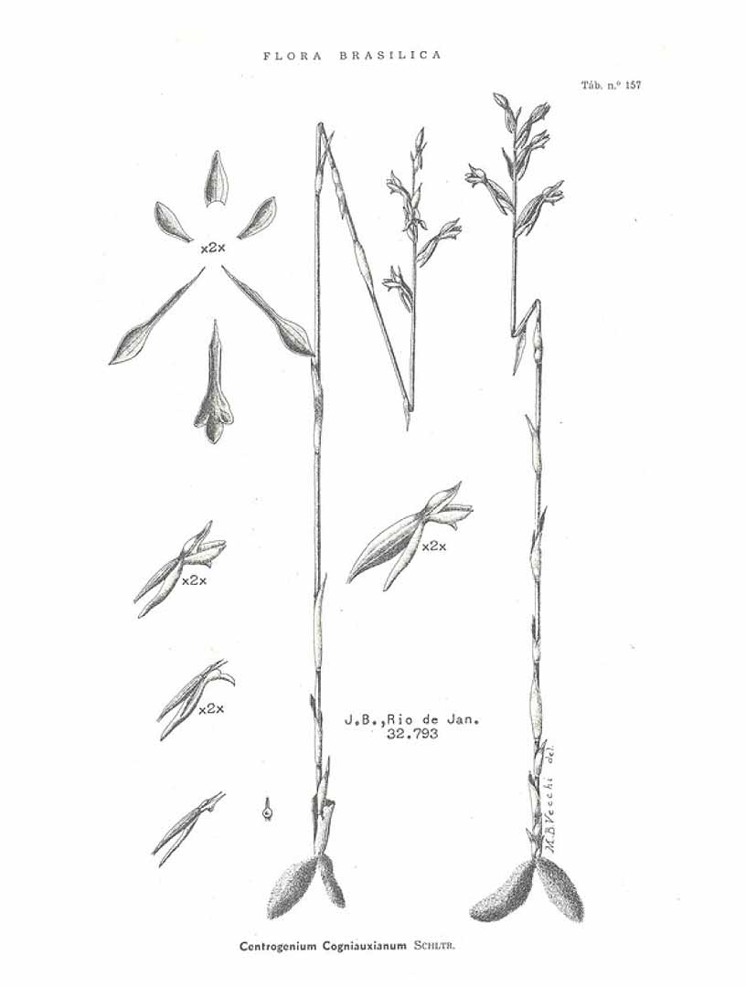 no HD illustration available (3)