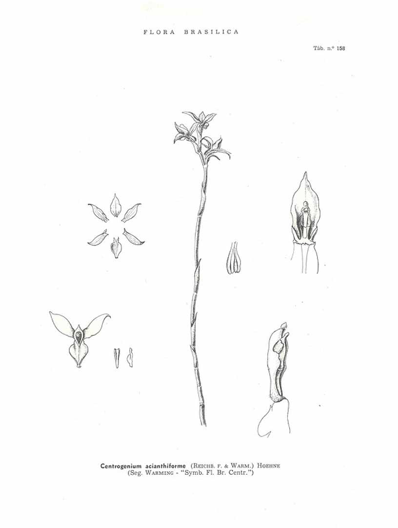 no HD illustration available (3)