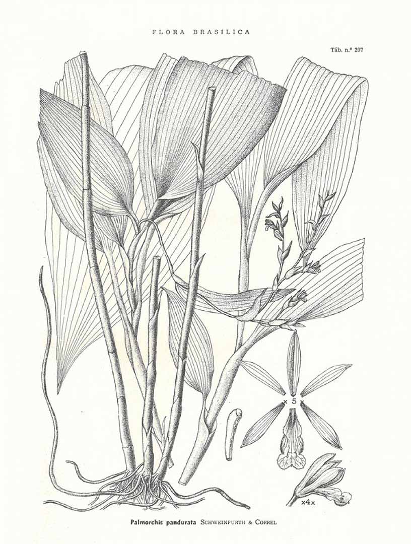 no HD illustration available (3)