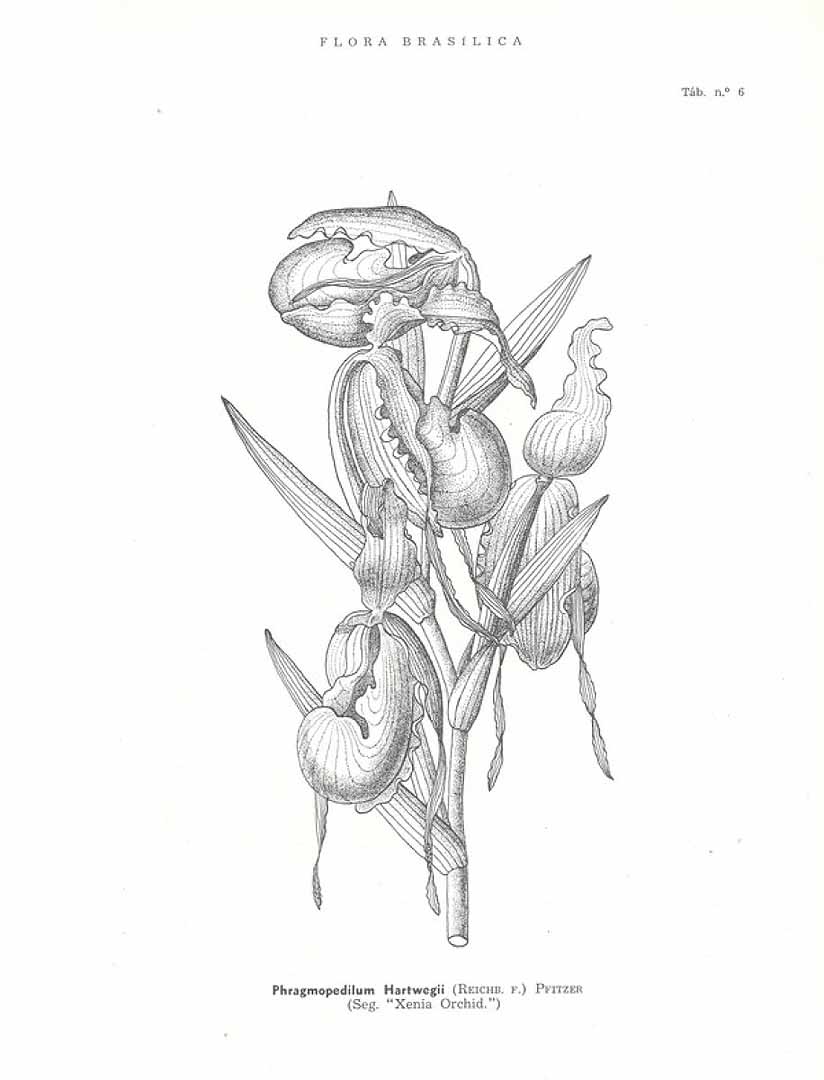 no HD illustration available (3)