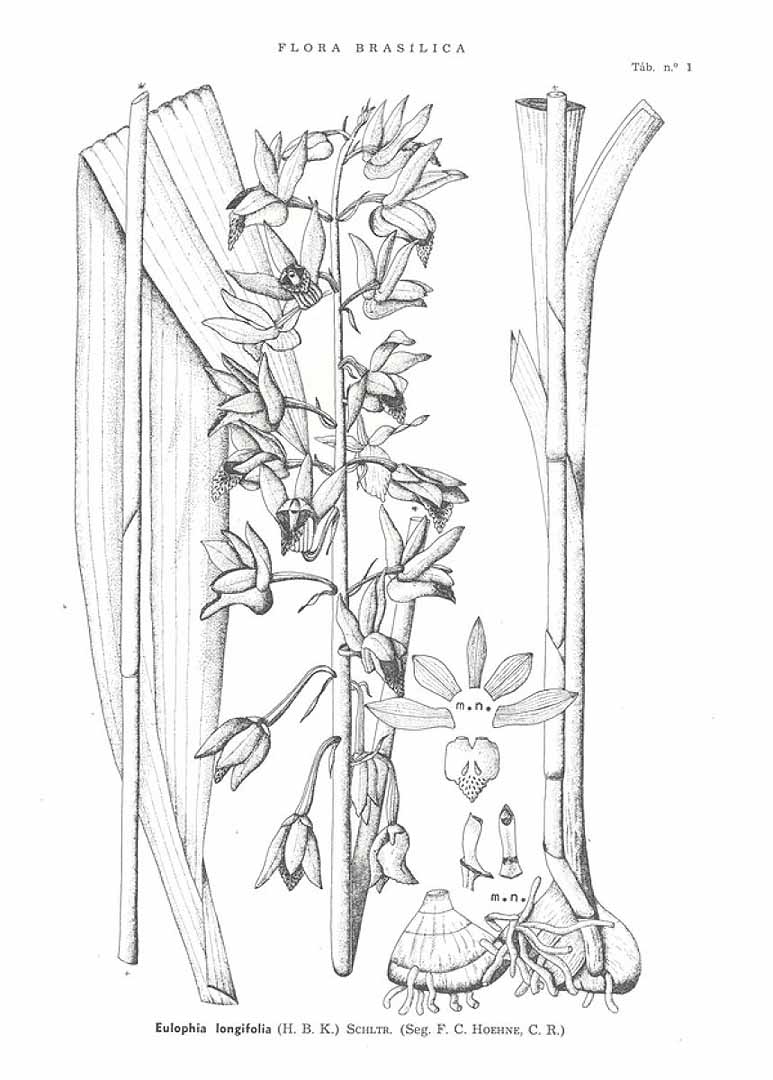 no HD illustration available (3)