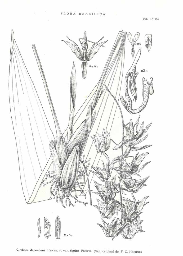 no HD illustration available (3)