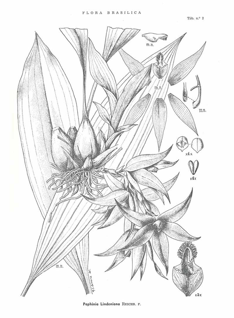 no HD illustration available (3)