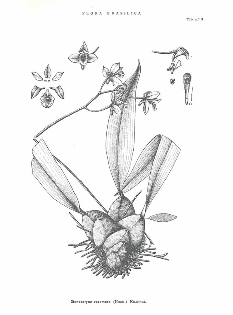 no HD illustration available (3)