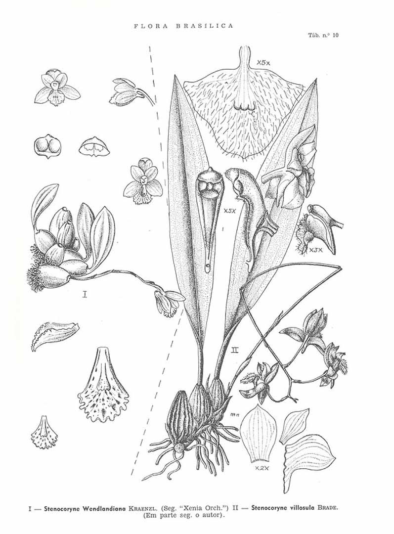 no HD illustration available (3)