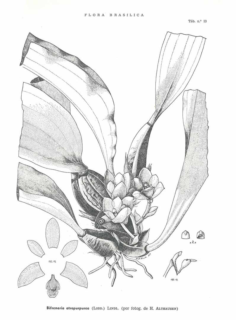 no HD illustration available (3)