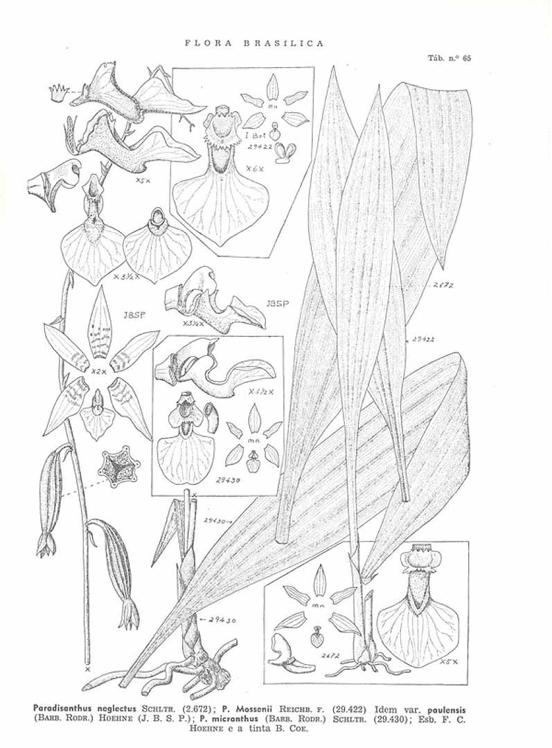 no HD illustration available (3)