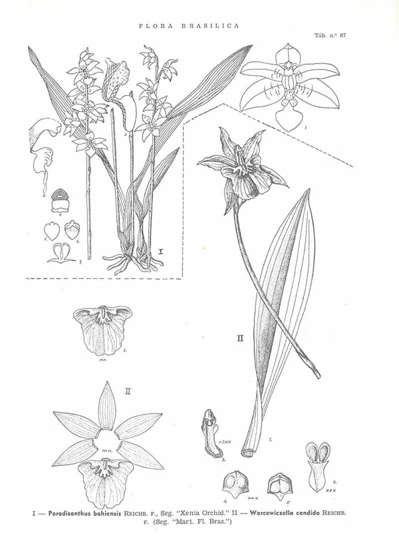 no HD illustration available (3)