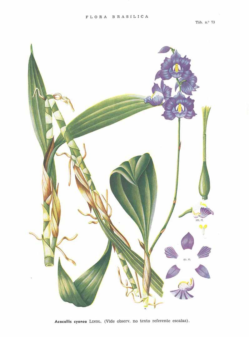 no HD illustration available (3)