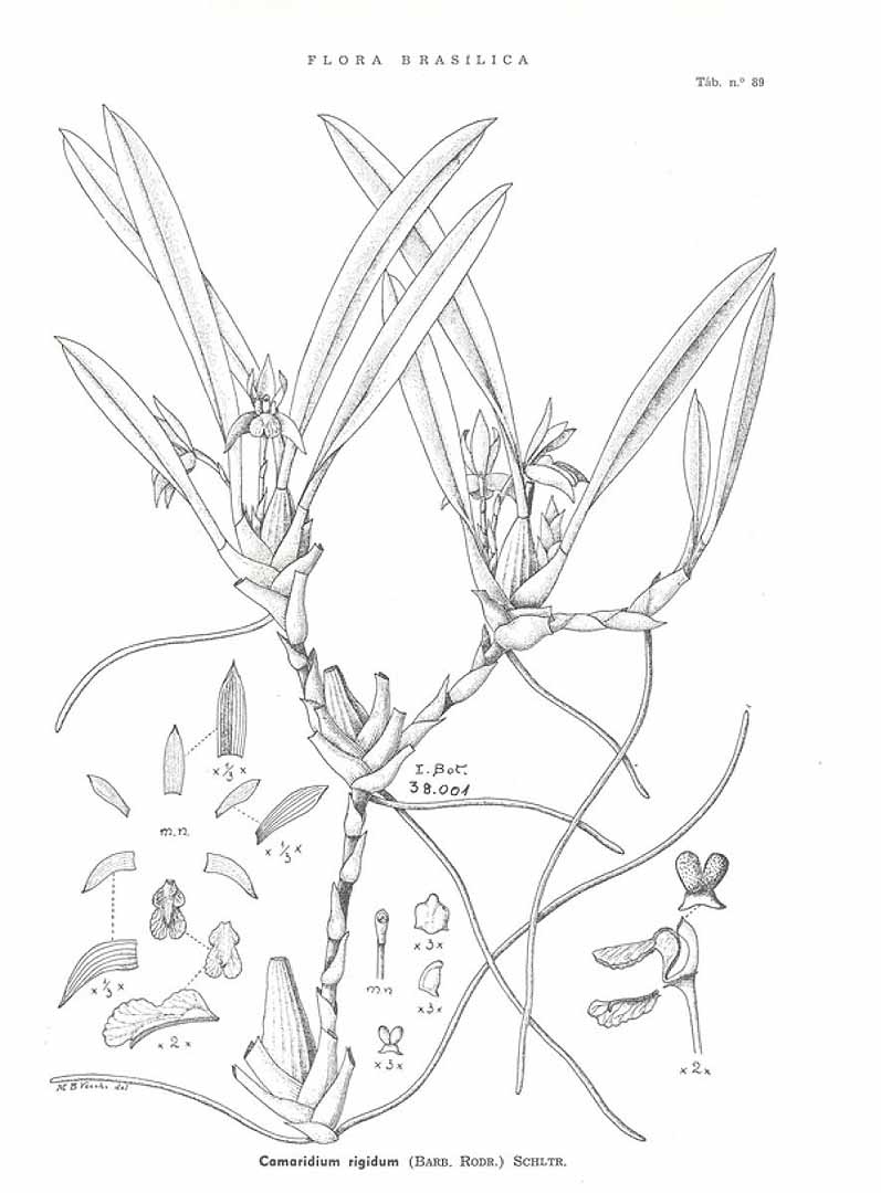 no HD illustration available (3)