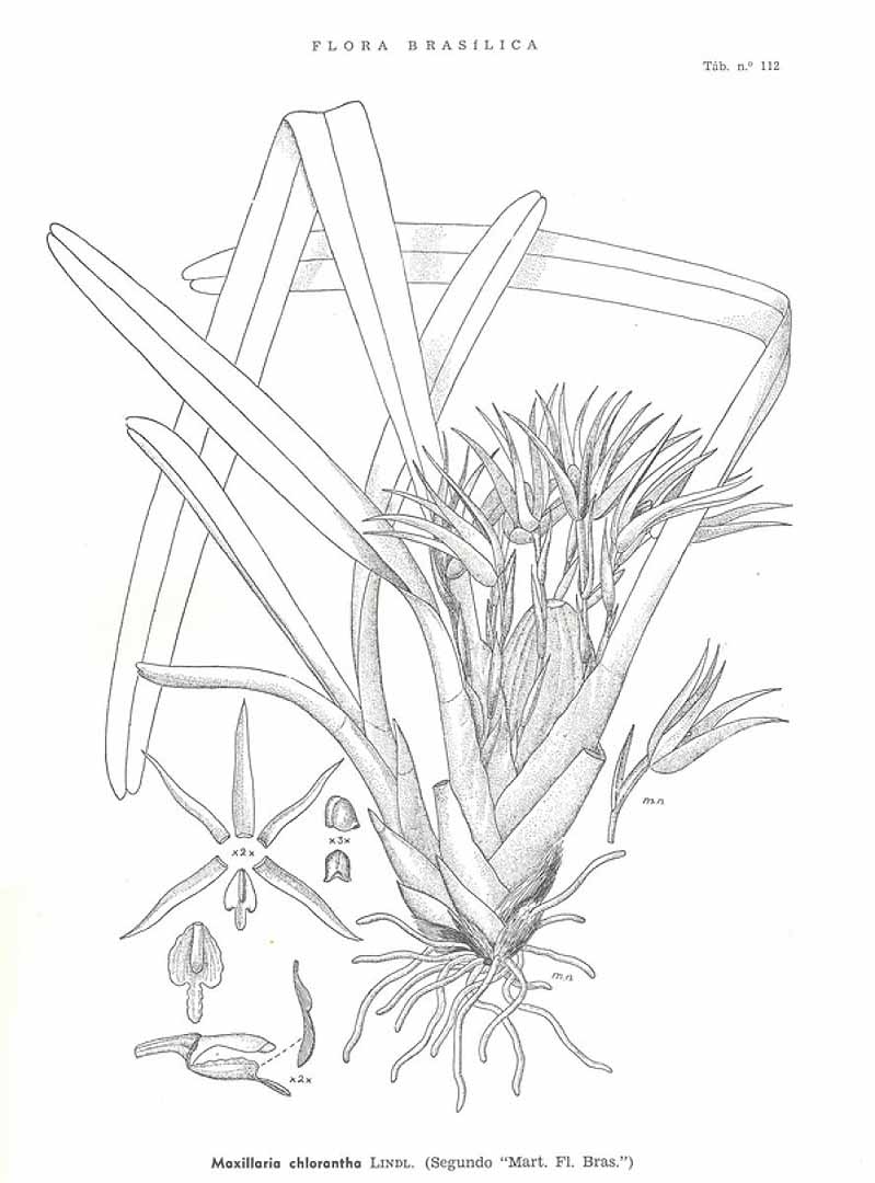 no HD illustration available (3)
