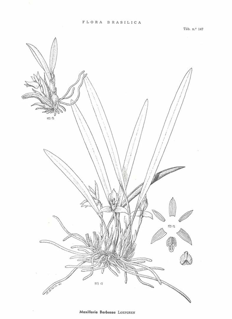 no HD illustration available (3)