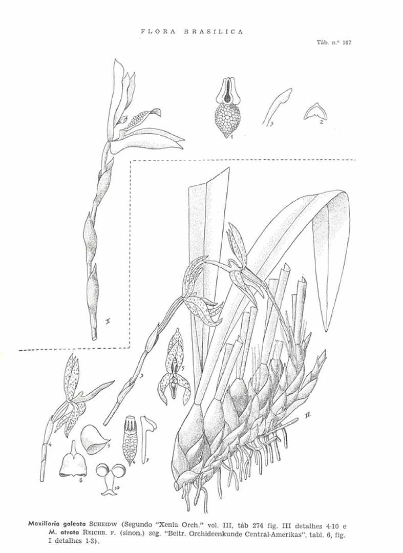 no HD illustration available (3)