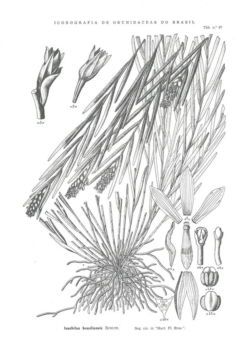 no HD illustration available (3)