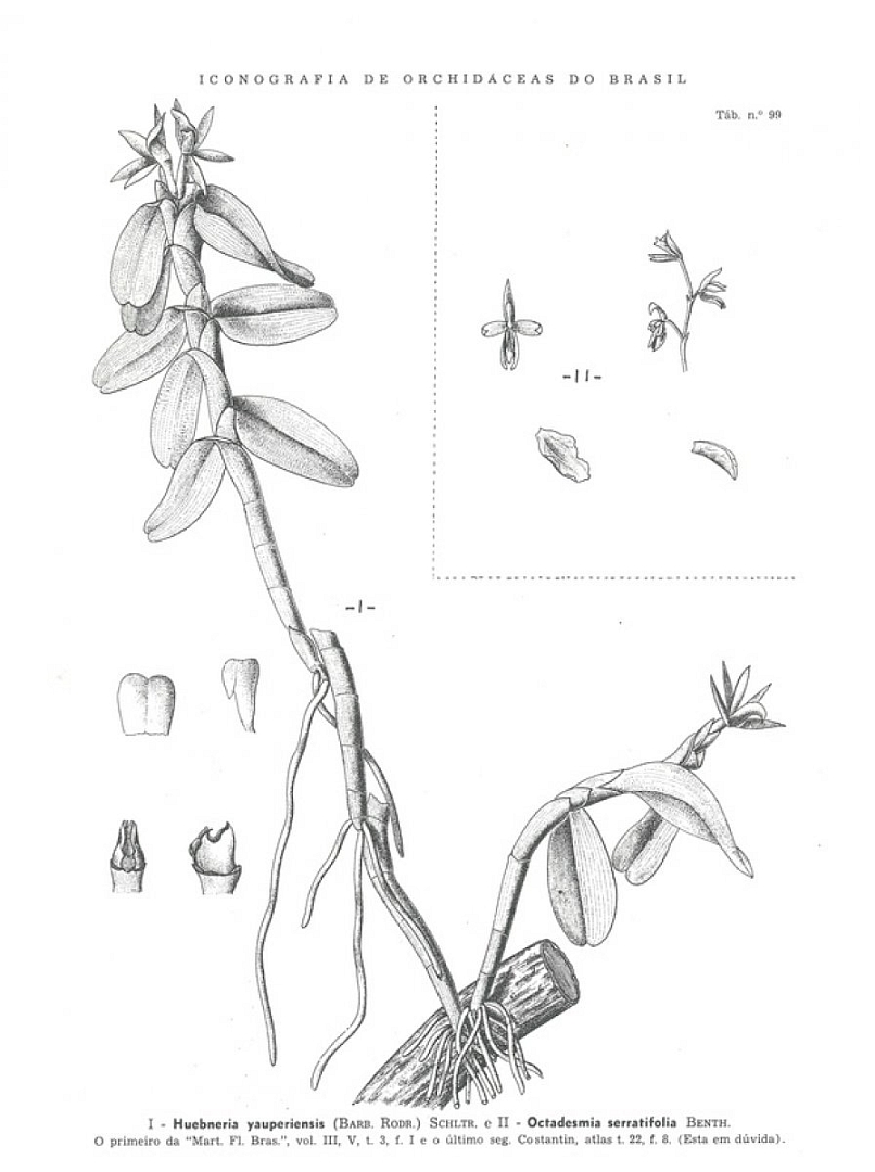 no HD illustration available (3)