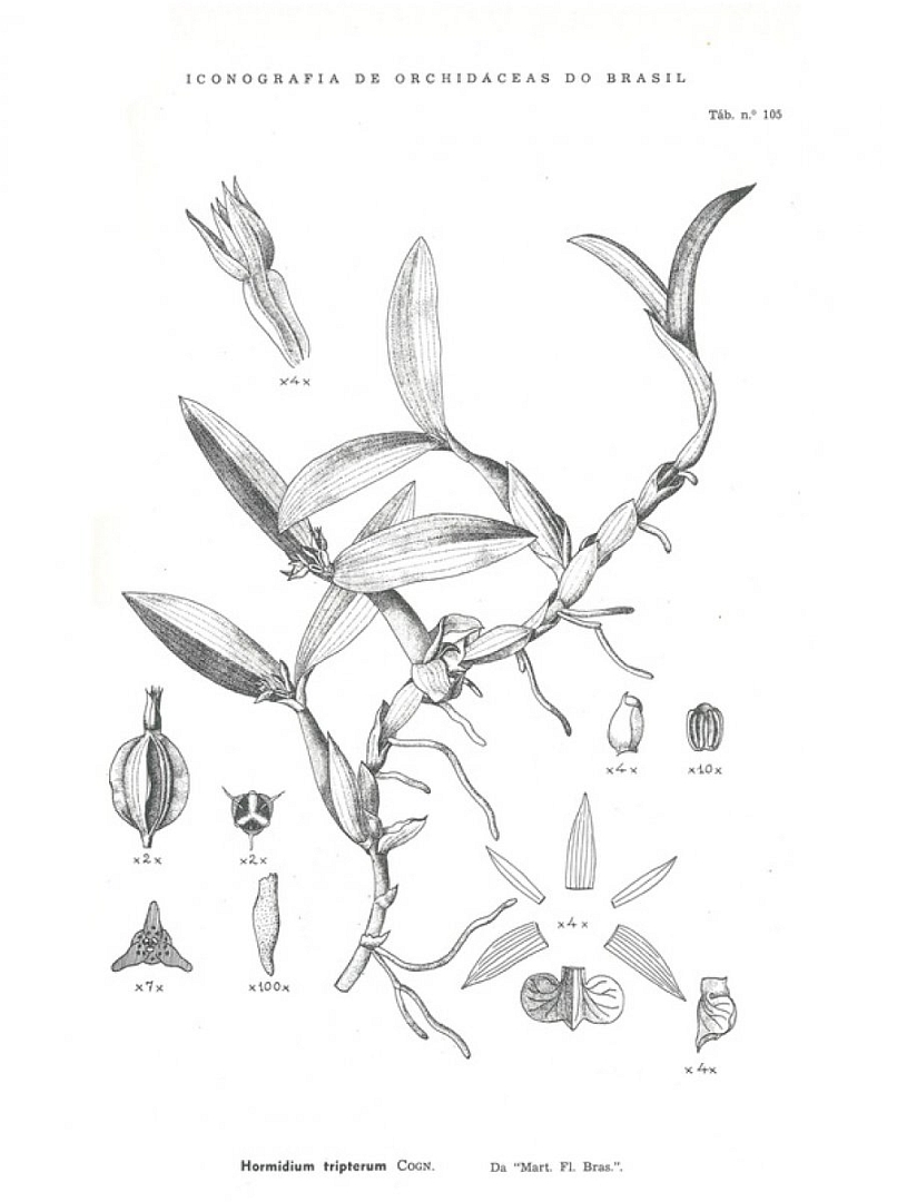 no HD illustration available (3)