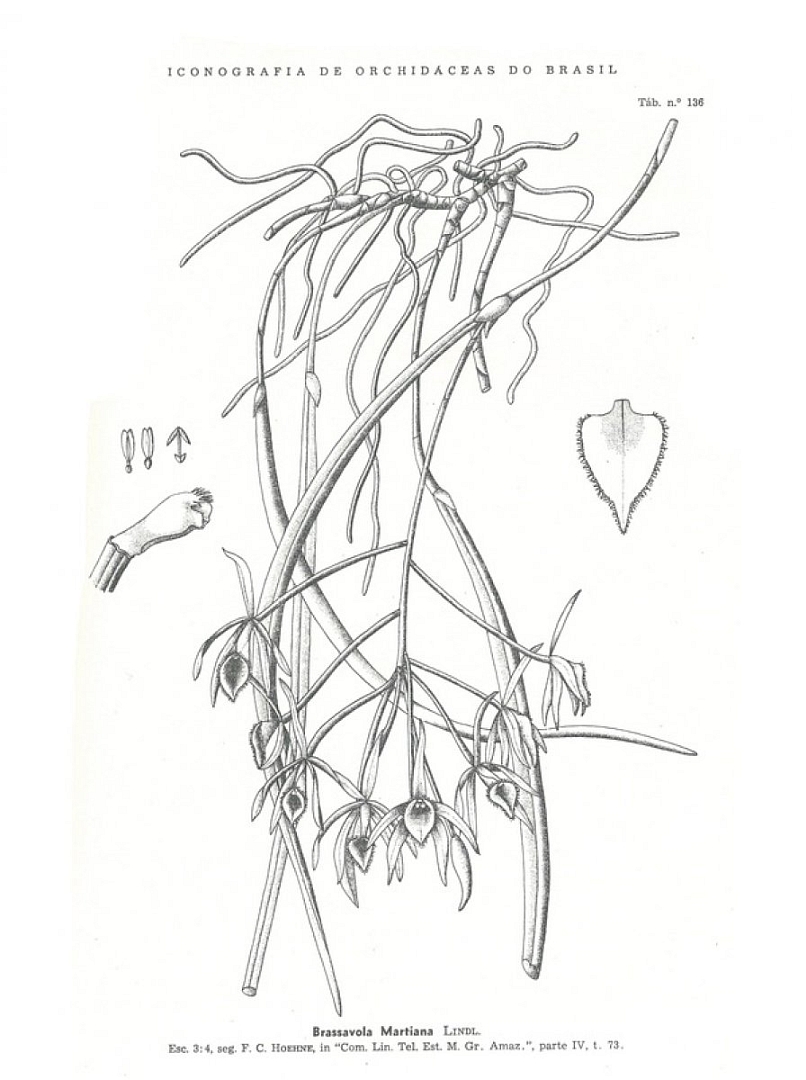 no HD illustration available (3)