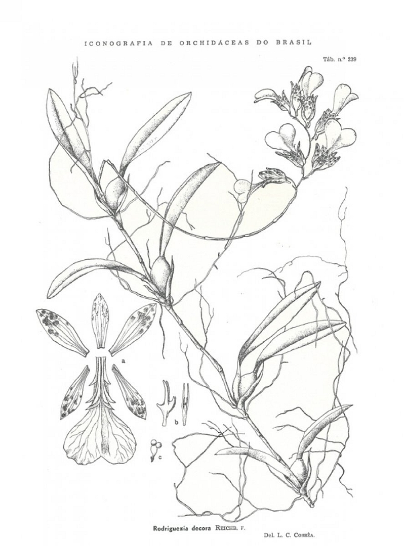 no HD illustration available (3)