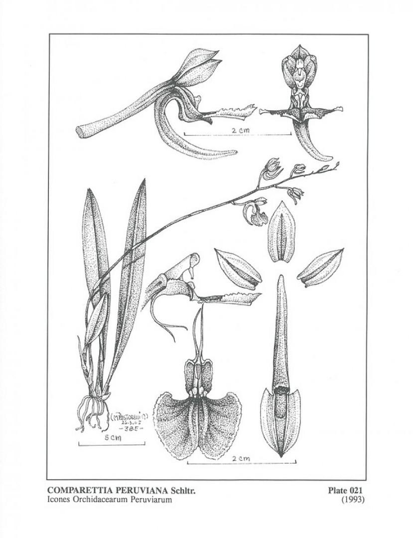no HD illustration available (3)