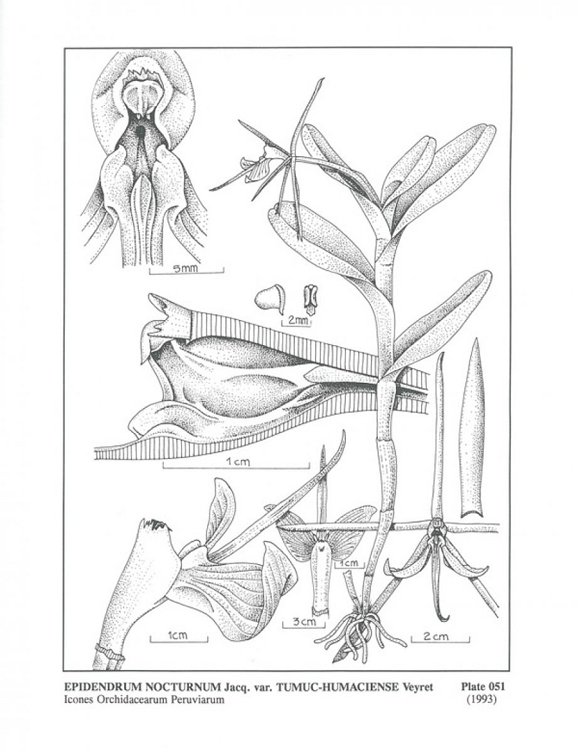 no HD illustration available (3)