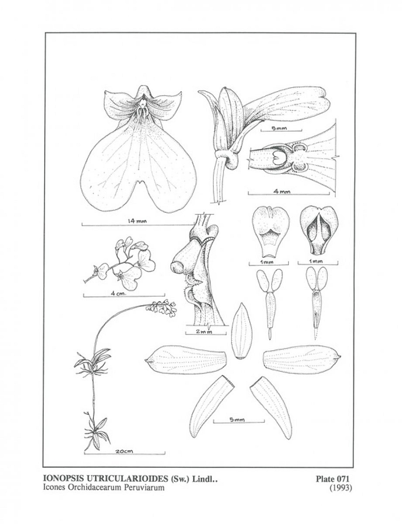 no HD illustration available (3)