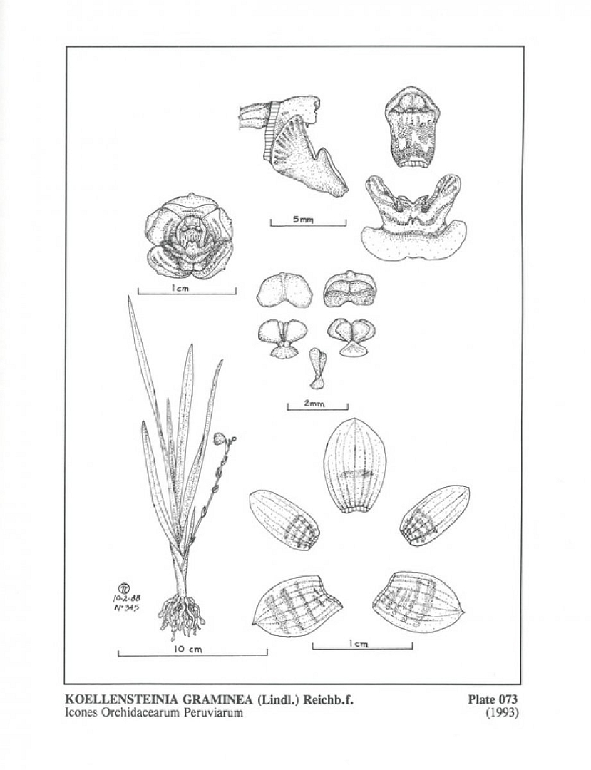 no HD illustration available (3)