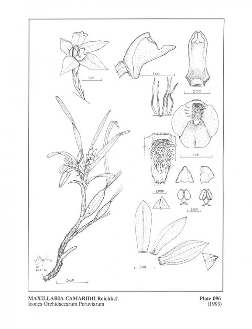 no HD illustration available (3)