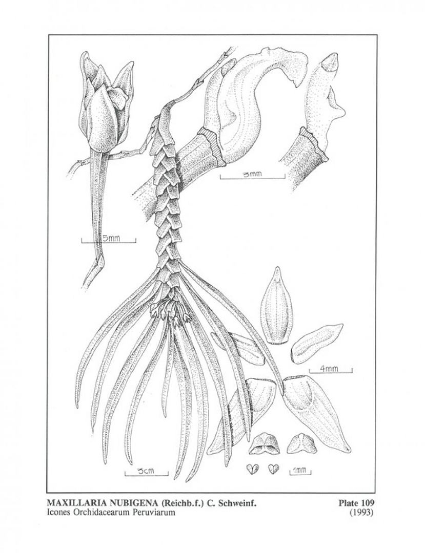 no HD illustration available (3)