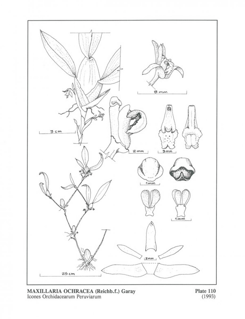 no HD illustration available (3)