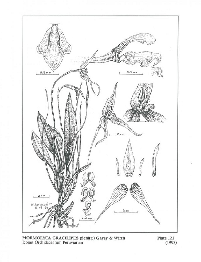 no HD illustration available (3)