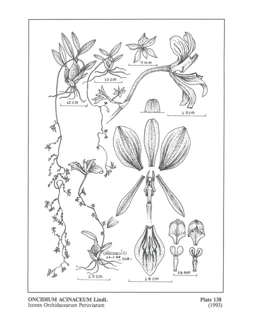 no HD illustration available (3)
