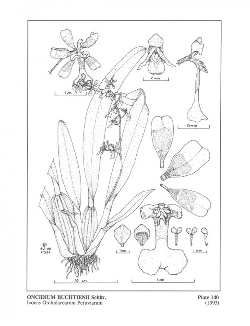 no HD illustration available (3)