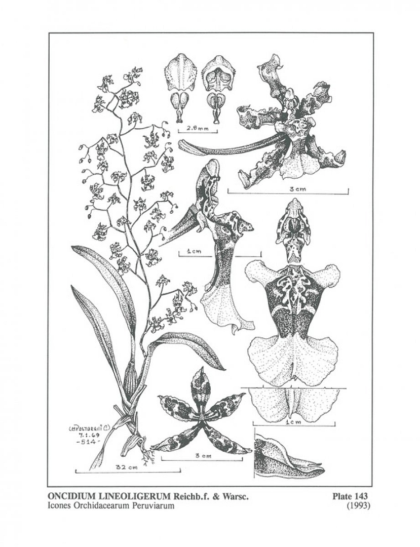 no HD illustration available (3)