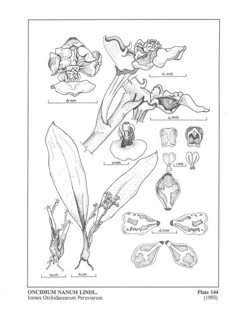 no HD illustration available (3)