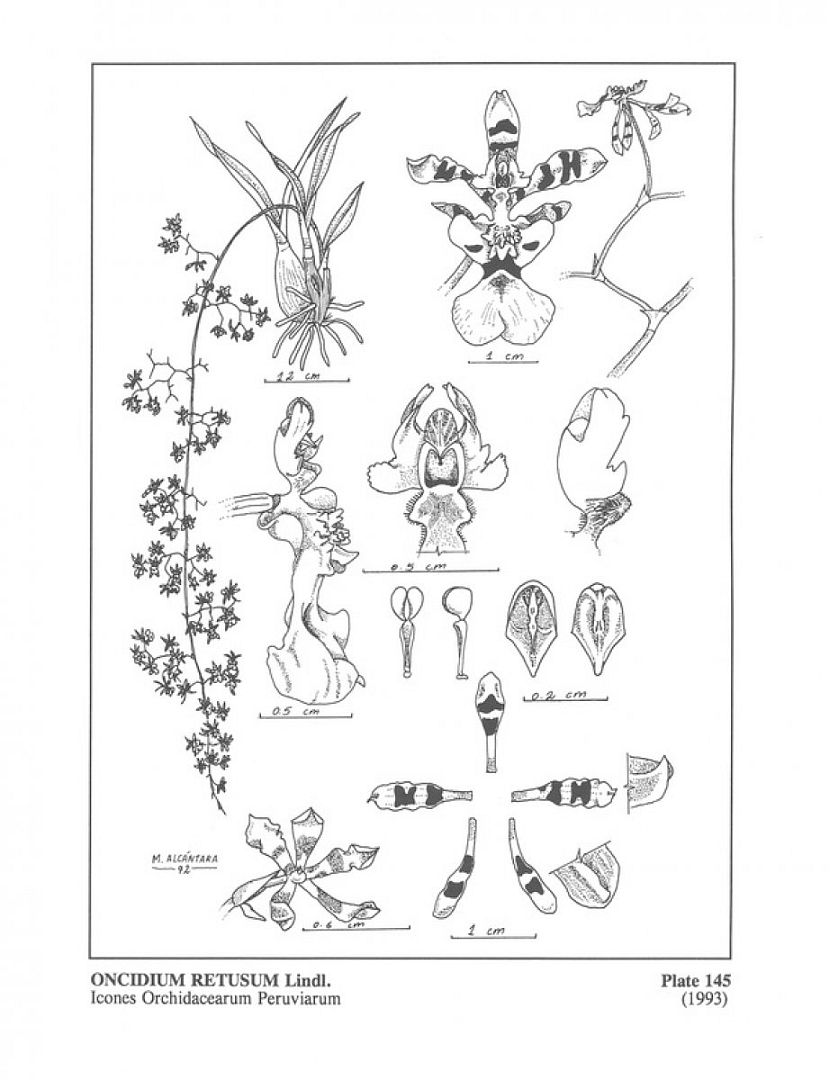 no HD illustration available (3)