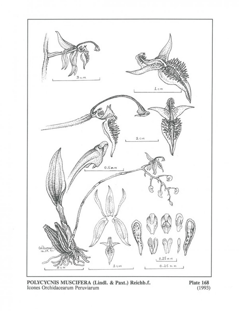 no HD illustration available (3)