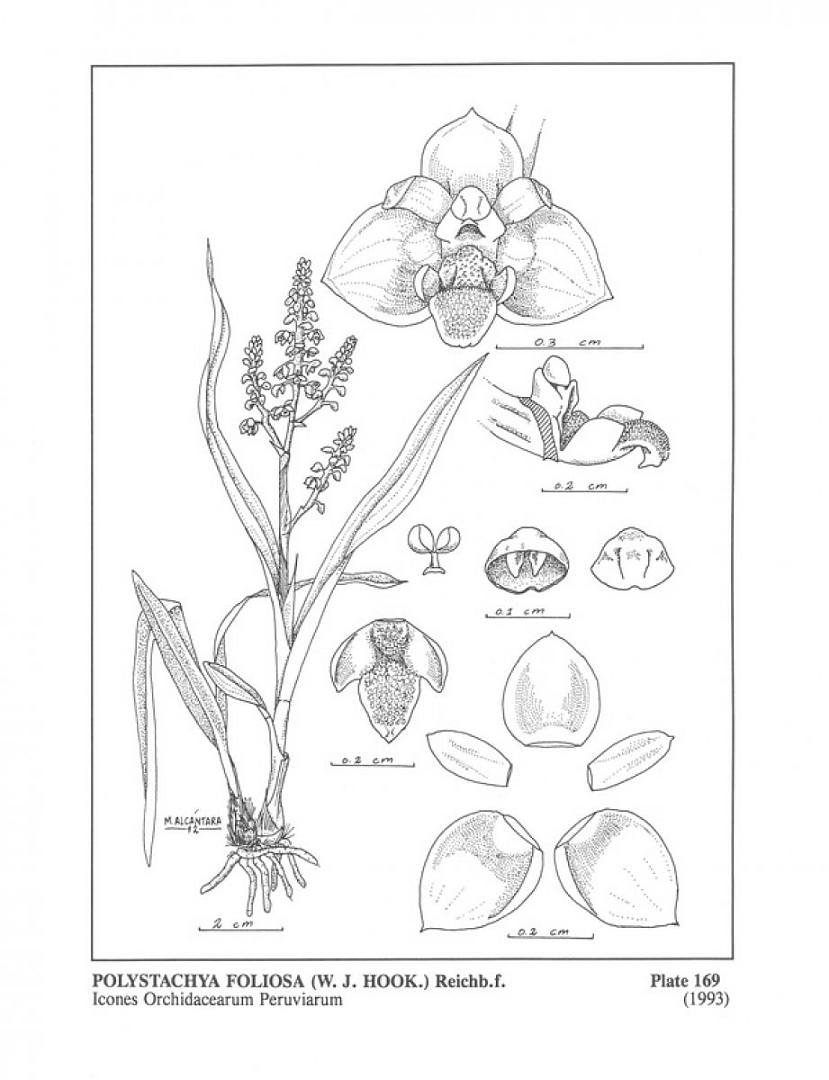 no HD illustration available (3)