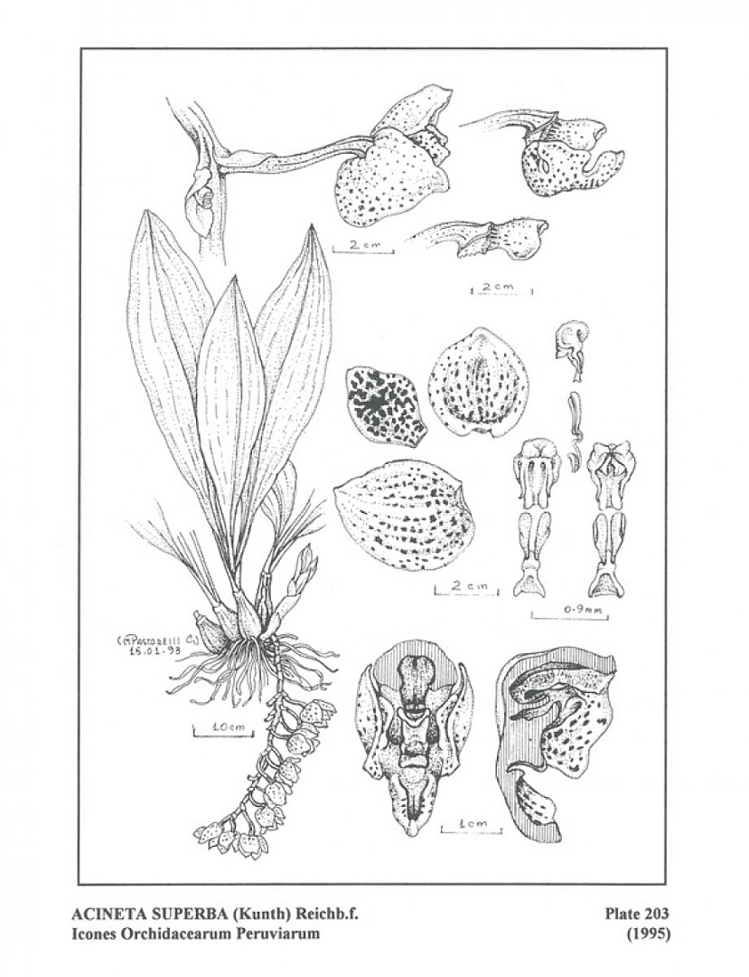 no HD illustration available (3)