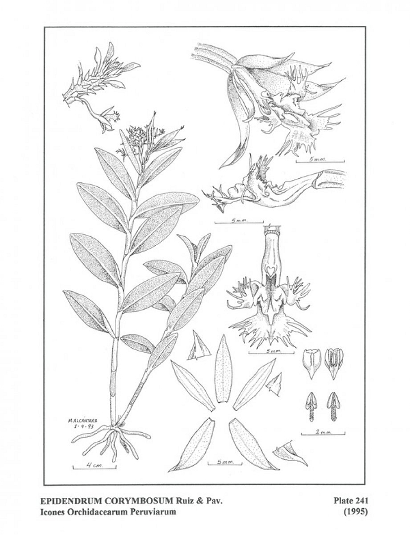 no HD illustration available (3)